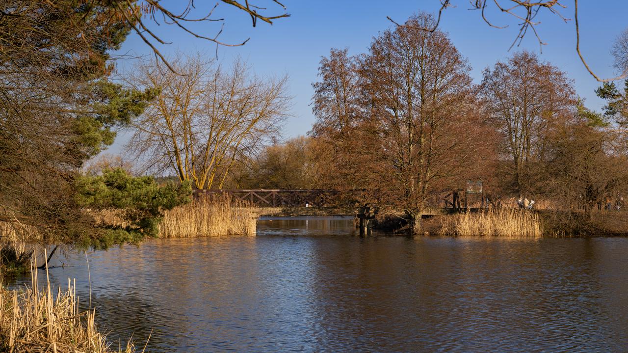 Pogoda na 5 dni. Wiry niżowe sprawią, iż napłynie powietrze znad Afryki. Jak ciepło będzie?