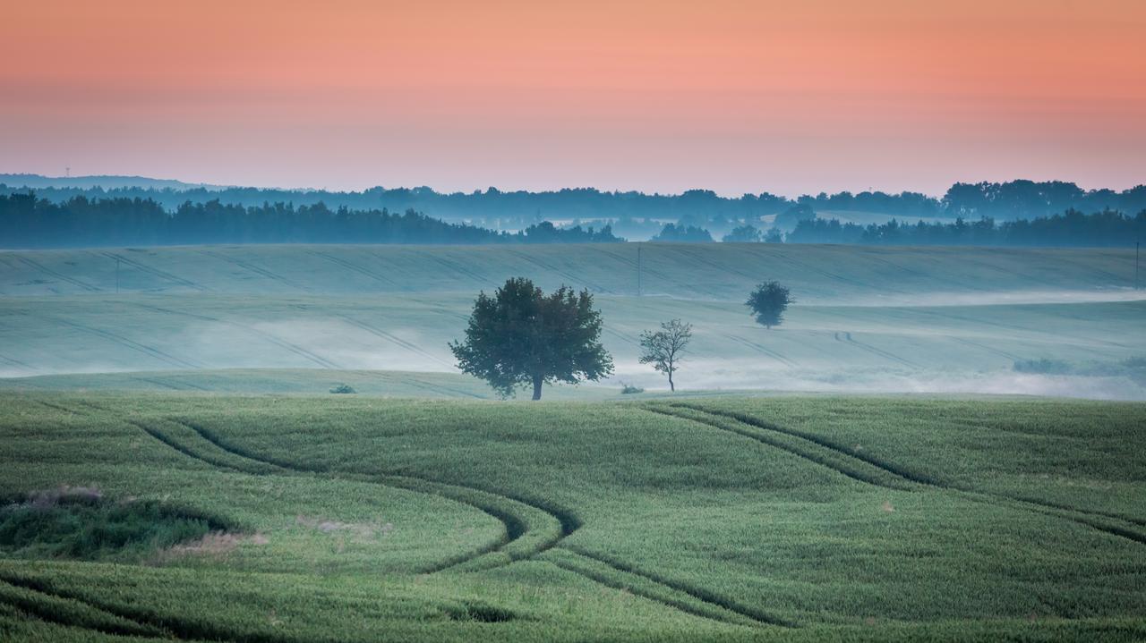 Wyjmijcie z szafy rękawiczki. Chwilami będą się przydawać