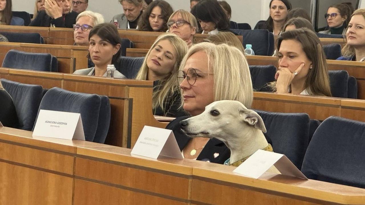 Niecodzienny widok w Senacie. Uczestnicy przyszli z psami