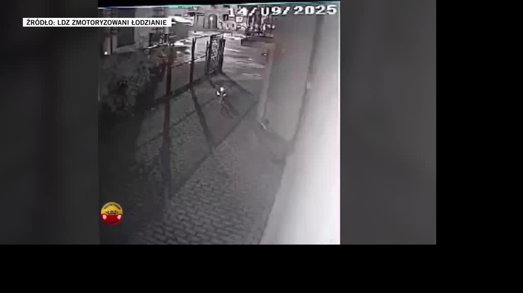 LDZ