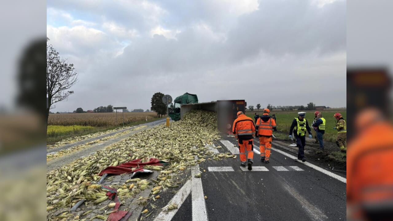 Zderzenie ciężarówek. Kilkanaście ton kukurydzy na drodze