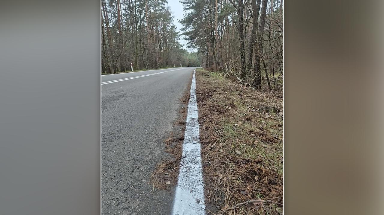 Zamiast na asfalcie namalowali linię na liściach. Internauci: Bareja