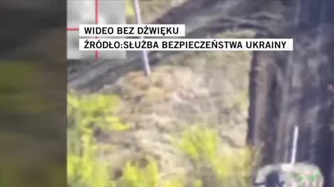 Służba Bezpieczeństwa Ukrainy 