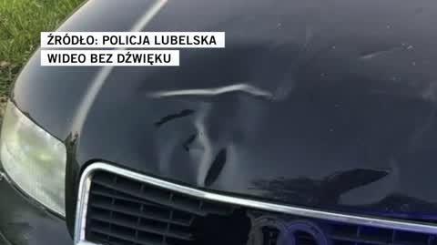 slajd