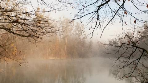 Prognoza temperatury na kolejne dni