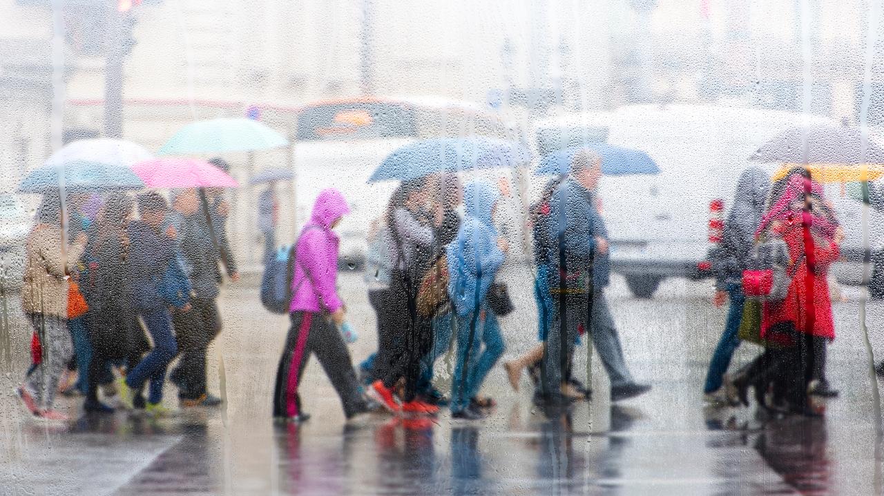 Rozpoczęli się zimni ogrodnicy. W pogodzie będzie się działo