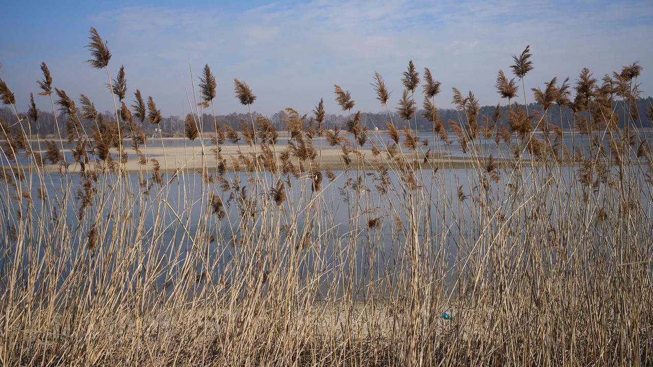 Wyż z południa przyniesie ocieplenie. Pogoda na 5 dni