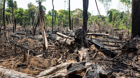 Amazonia na zdjęciach archiwalnych