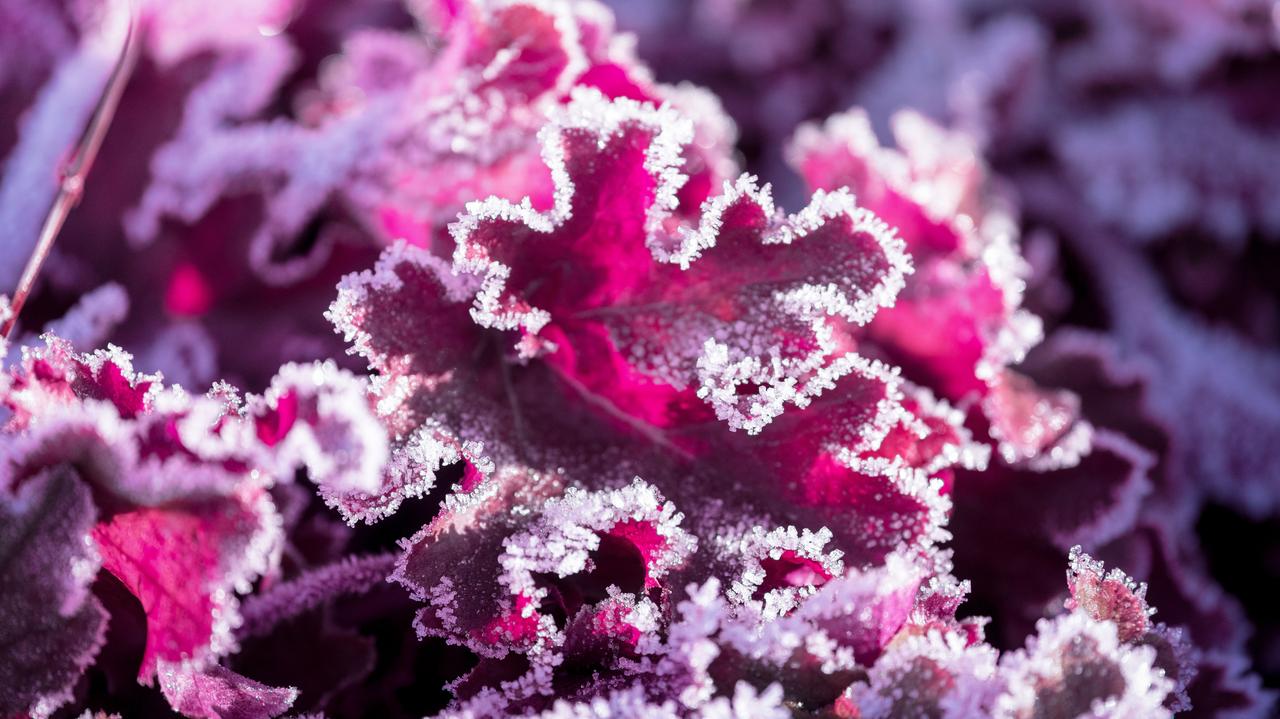 Pogoda na jutro - wtorek 06.05. Przed nami zimna noc i mroźny poranek