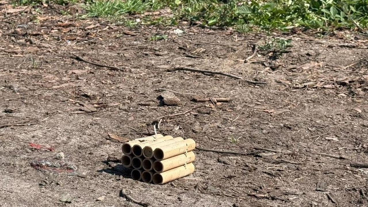 Fajerwerki i pożar w lesie