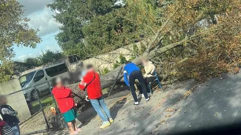 Do zdarzenia doszło w Luboniu