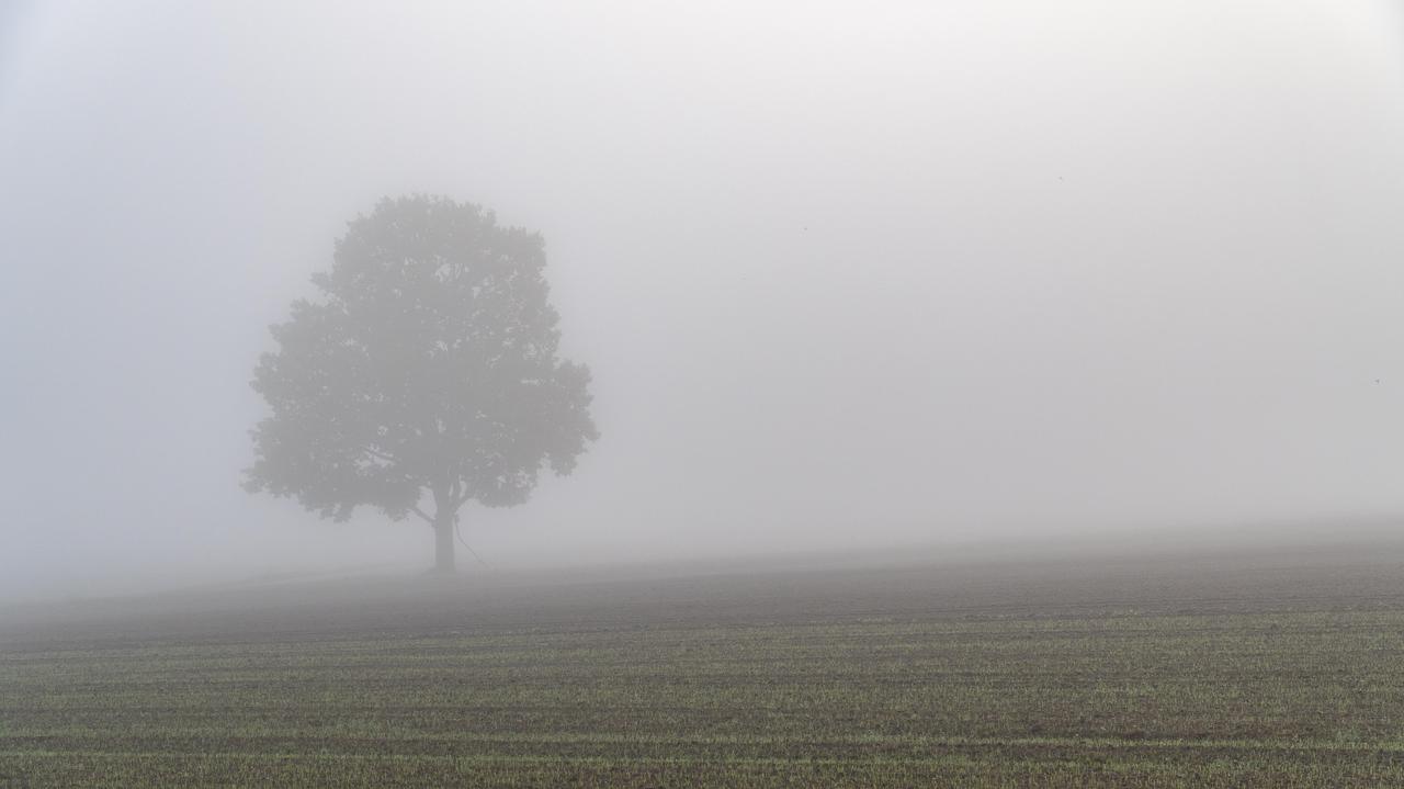 Niebezpieczna pogoda w połowie Polski. IMGW ostrzega