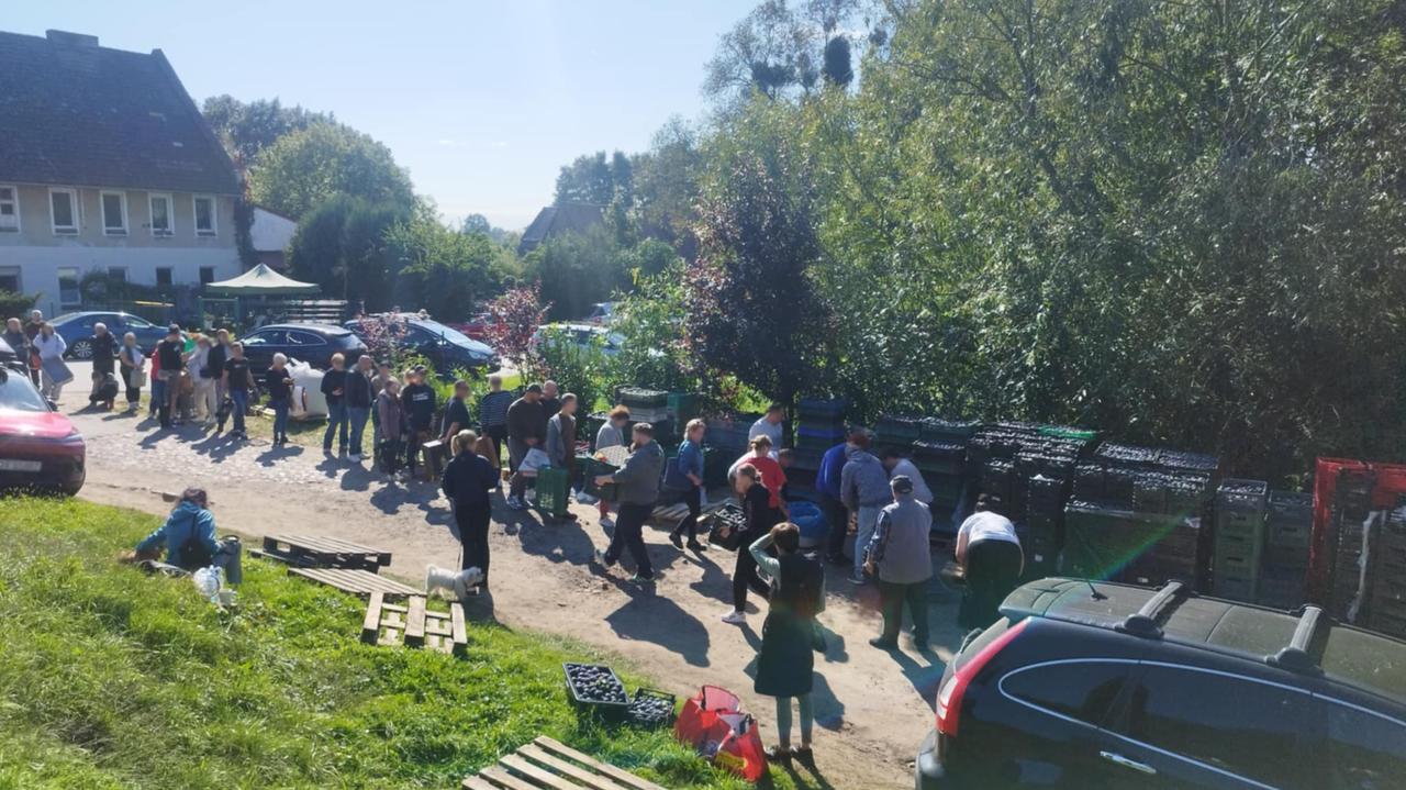 Klient nie odebrał 11 ton śliwek. Ludzie ruszyli z pomocą rolnikowi