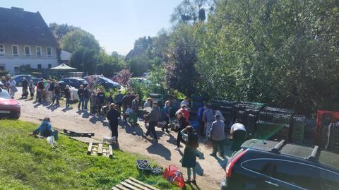 Klient nie odebrał 11 ton śliwek. Ruszyła lawina pomocy