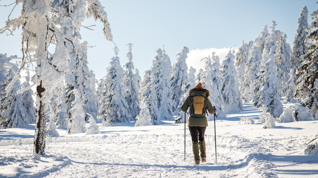 Pogoda. Mroźny antycyklon. Kiedy będzie najzimniej