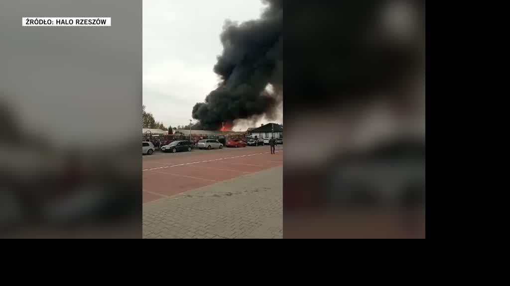 halo rzeszow