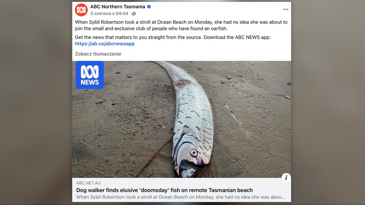 Trzy "ryby zagłady" wyrzucone na brzeg w krótkim czasie