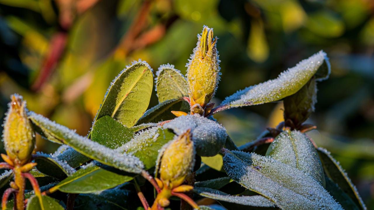 Mroźny poranek w Polsce. Gdzie było najzimniej