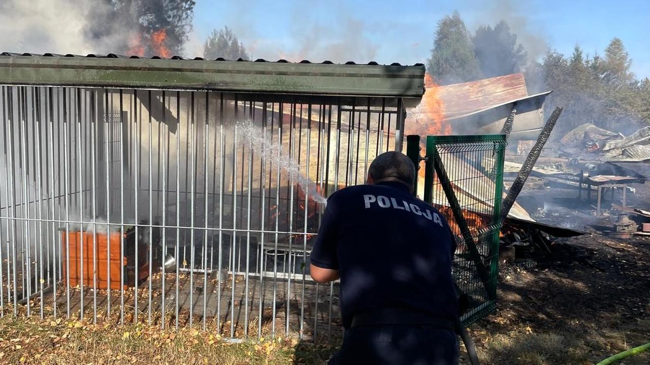 Pożar pustoszył las i pobliskie domy. Policjant ewakuował mieszkańców i wyniósł butle z gazem