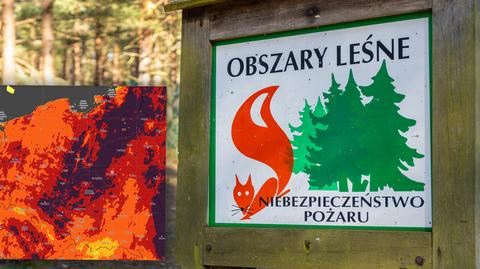 Odpowiedzialne korzystanie z lasów podczas suszy