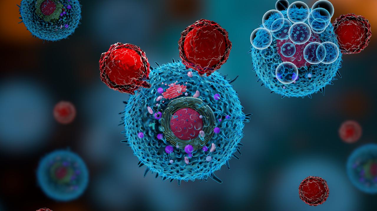 Rośnie grupa osób z nowotworami krwi. Czy Krajowa Sieć Hematologiczna odpowie na ich potrzeby?