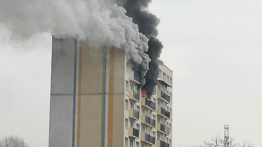 Pożar przy Wileńskiej w Łodzi