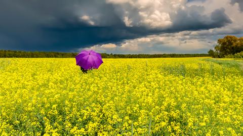 Prognoza temperatury na kolejne dni