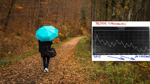 Spadek temperatury w ciągu najbliższych dni