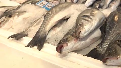 Wątpliwe pochodzenie ryb sprzedawanych nad Bałtykiem