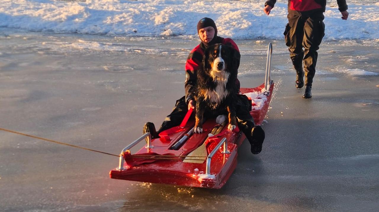 Akcja na Bałtyku. Pod psem załamał się lód
