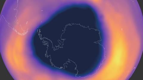 Animacja powstawanie dziury ozonowej nad Antarktydą, okres do 30 sierpnia 2021