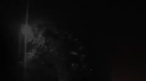 zimaTICKER