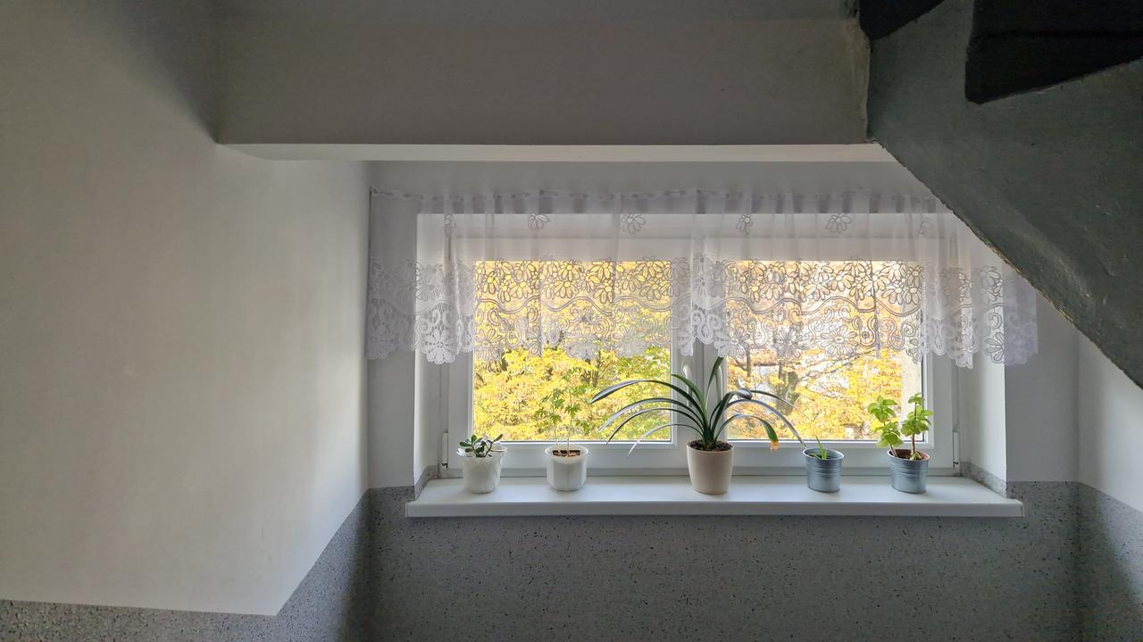 Szara strefa Mirelli