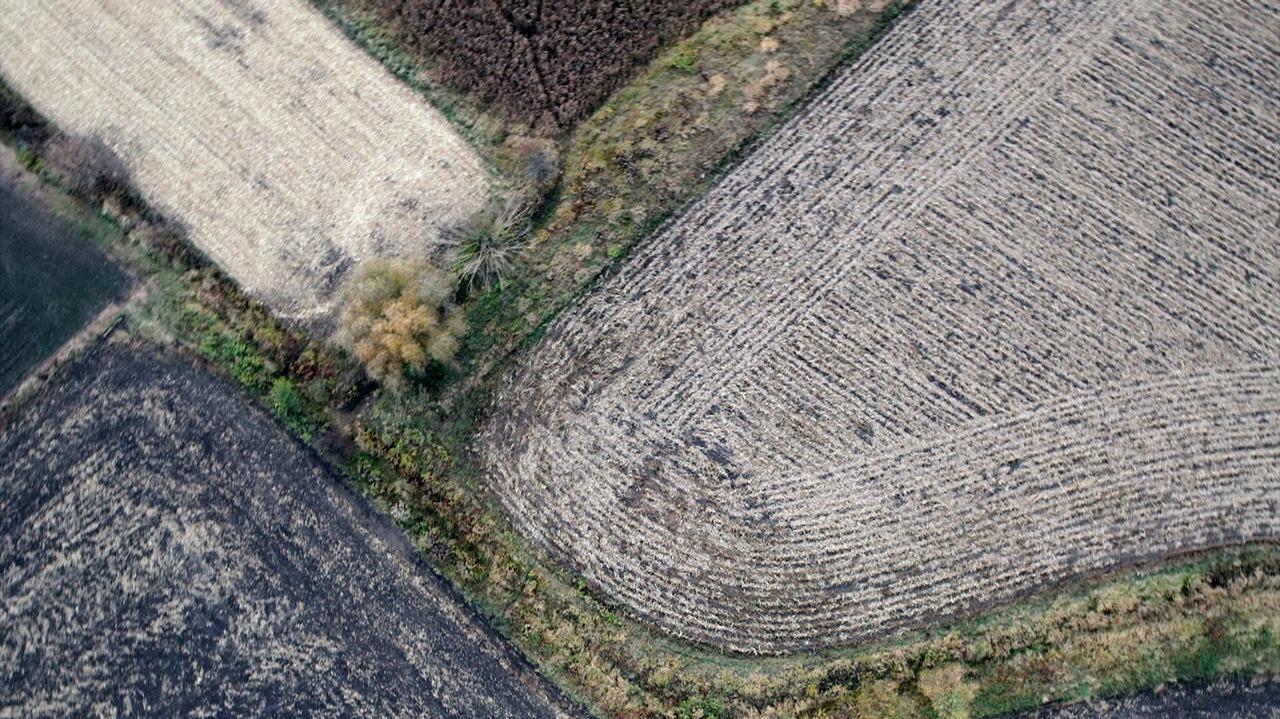 Właściciel działki pod CPK dla "Faktów" TVN: jestem gotowy do rozmów