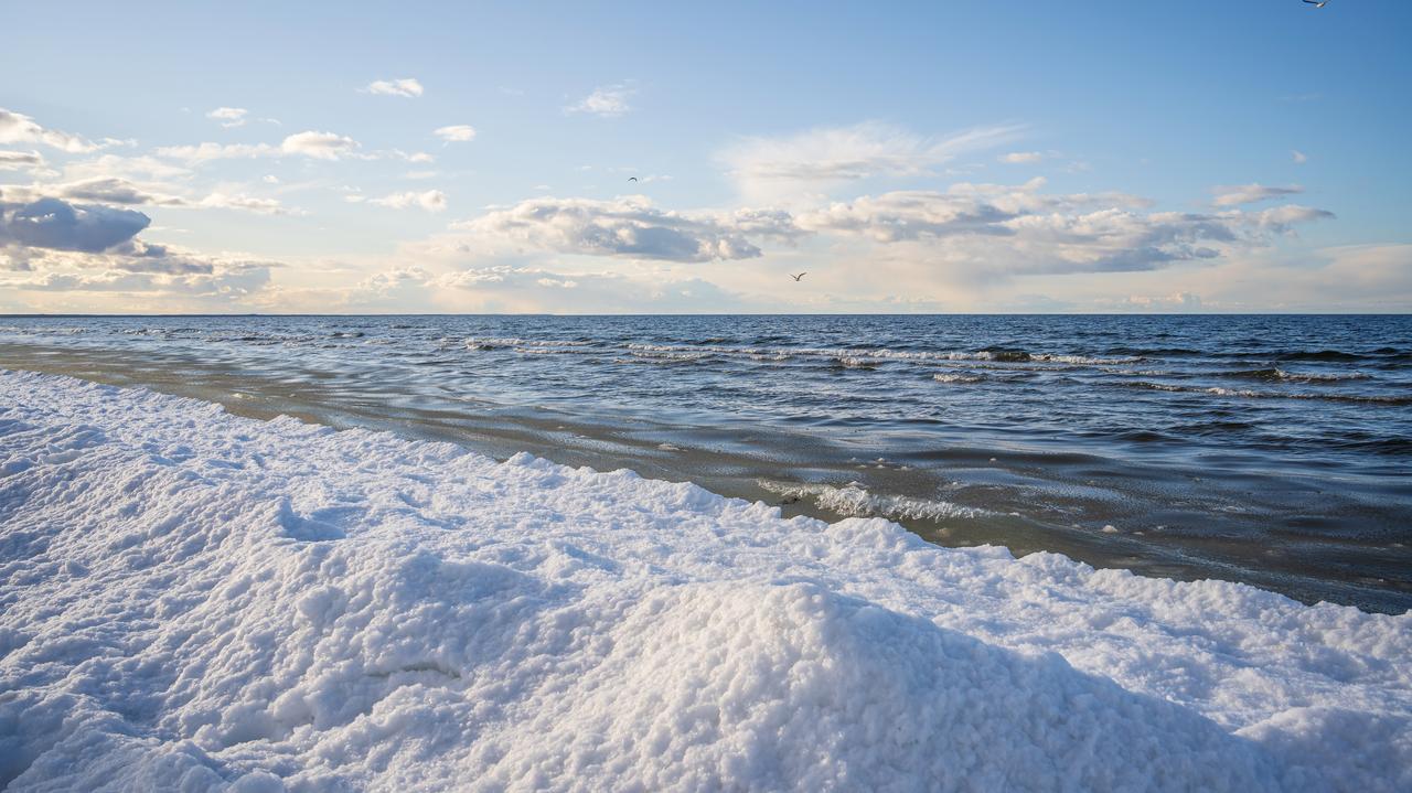 Uszkodzony kabel na Bałtyku. Zatrzymali statek płynący z Rosji