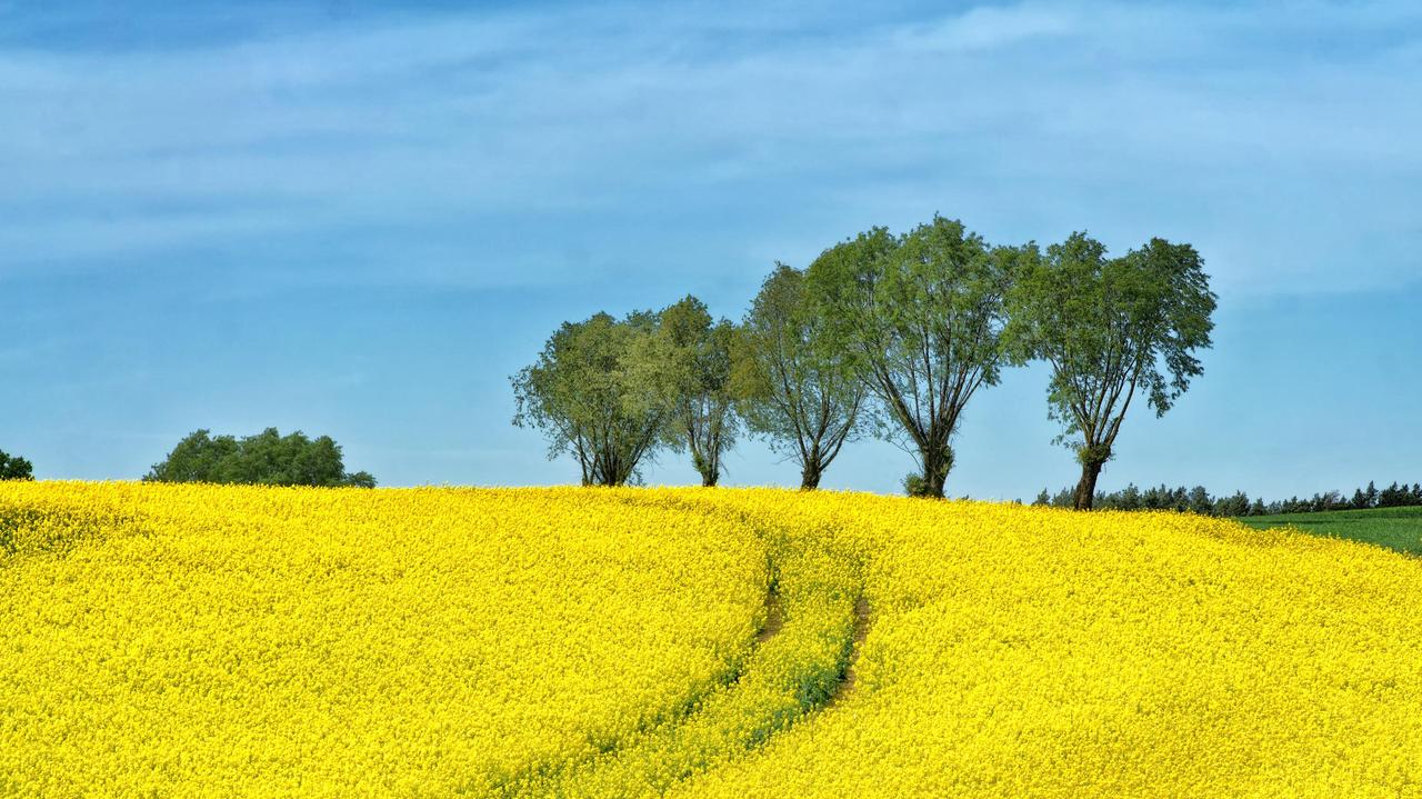 Pogoda na Boże Ciało. Jaki będzie długi weekend