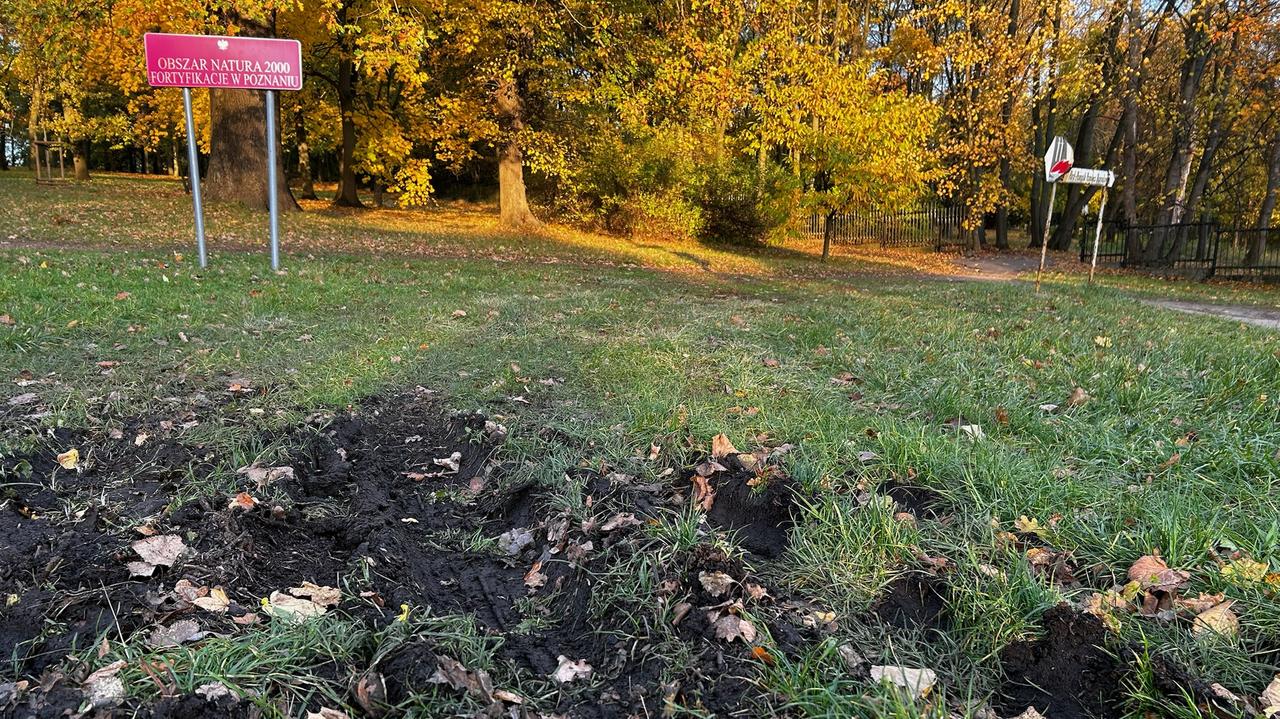 Koślawe tablice i grzęzawisko. Tak wygląda dojście na groby na poznańskiej Cytadeli