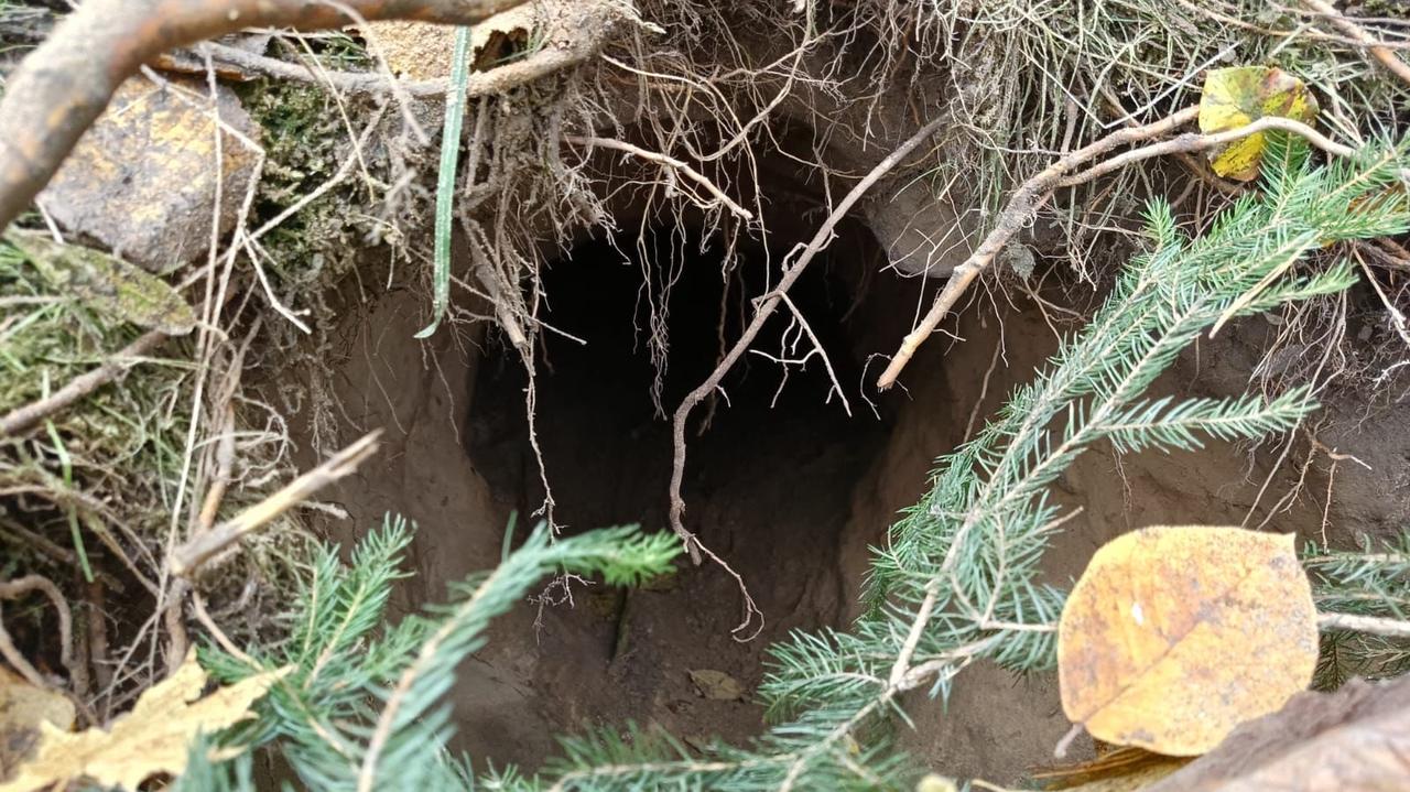 Odkryli tunel pod barierą na granicy z Białorusią