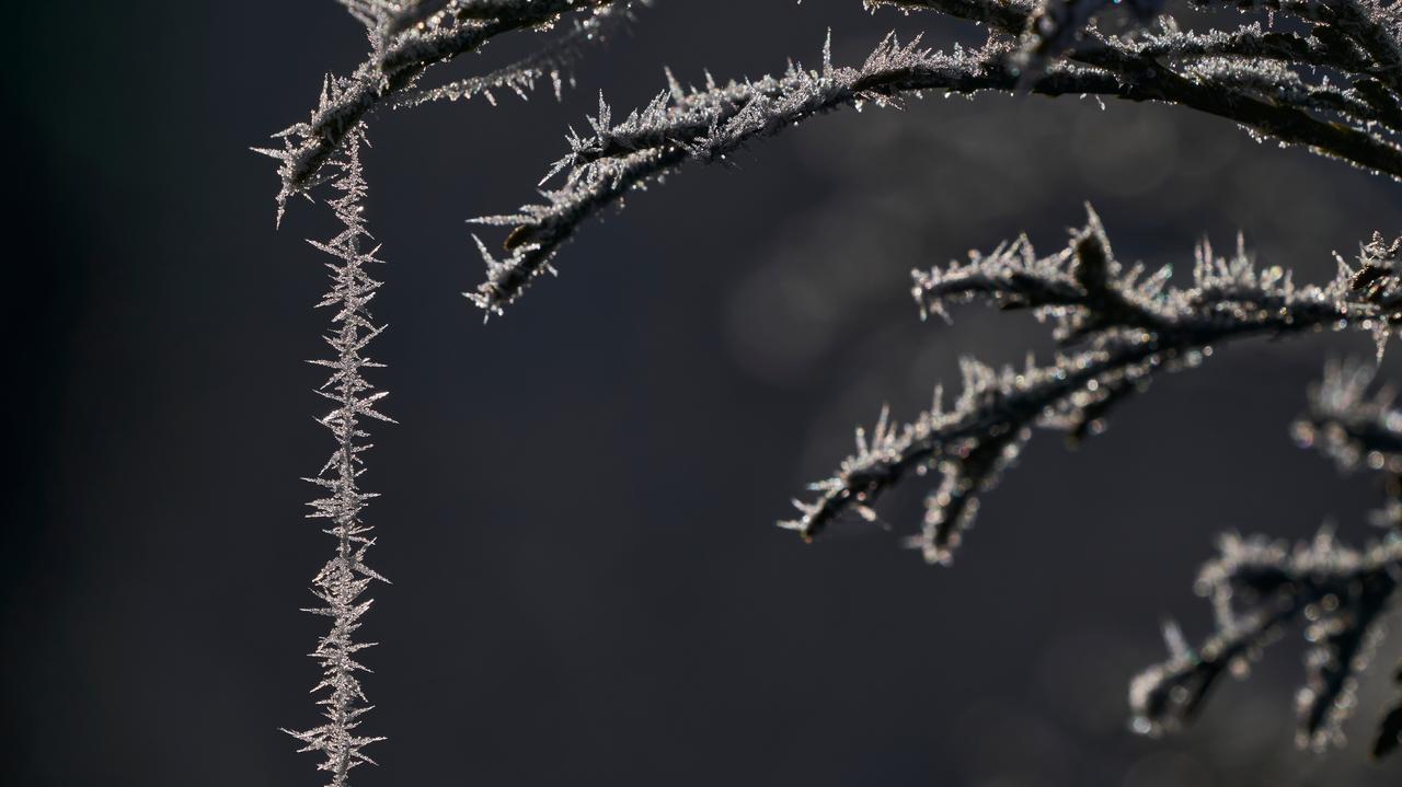Alarmy na południu kraju. Tu zrobi się zimno