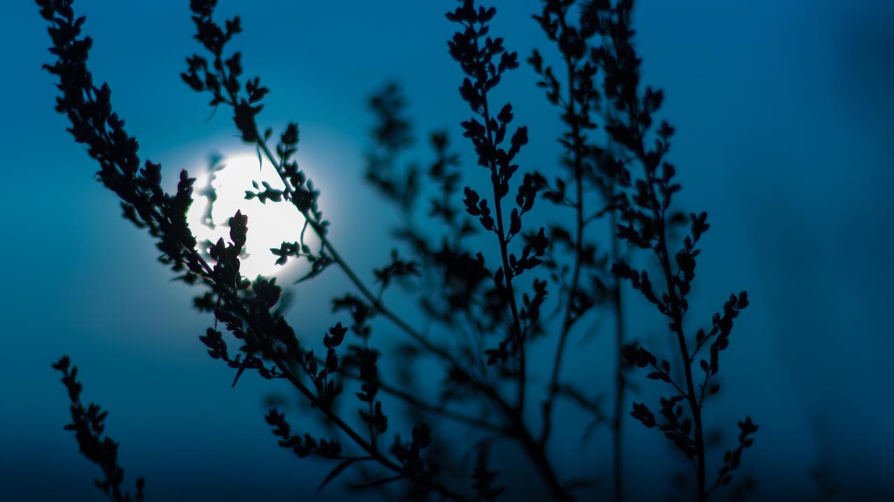 Pogoda na jutro - piątek, 30.05. W nocy tylko w części kraju może popadać