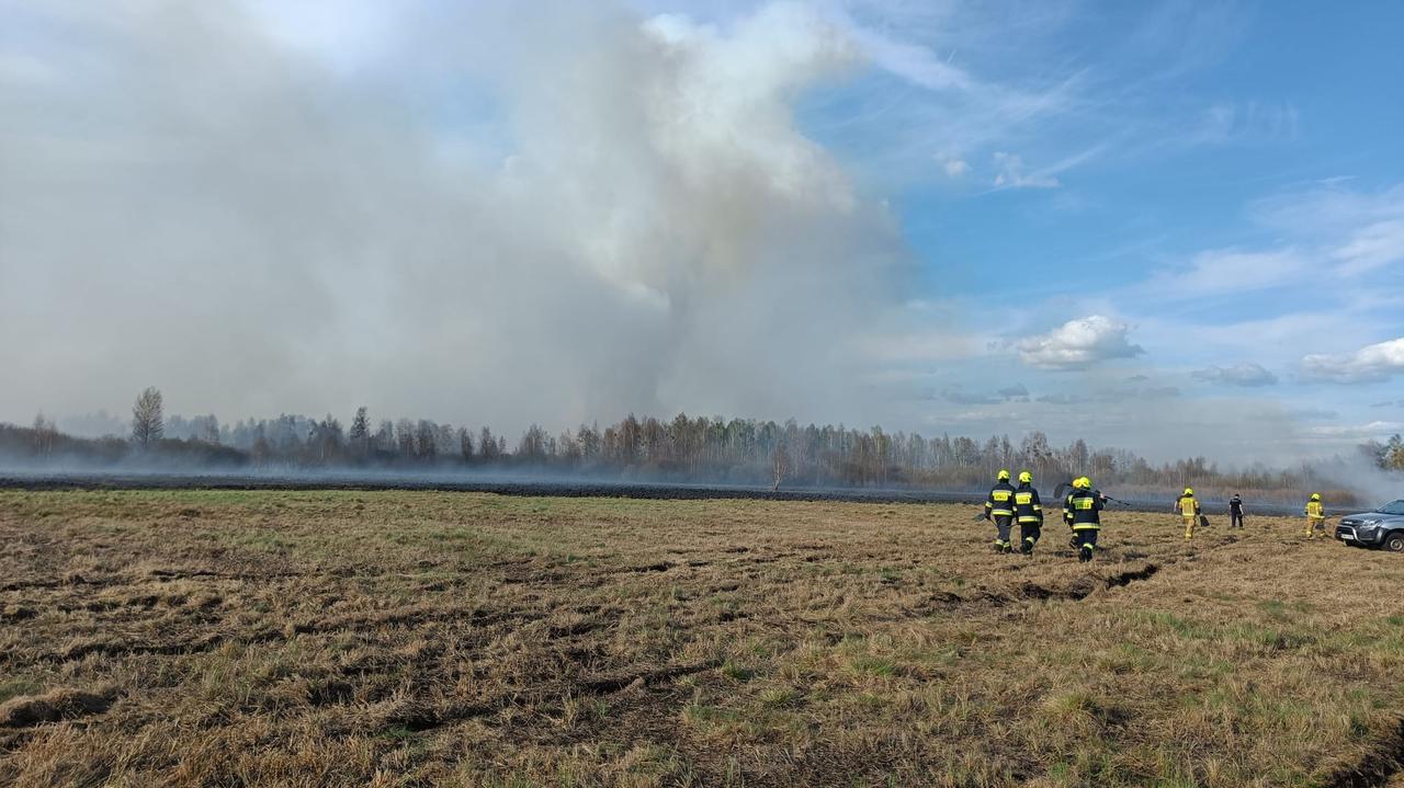 Kolejny pożar w Biebrzańskim Parku Narodowym. Ostatni był kilka dni temu
