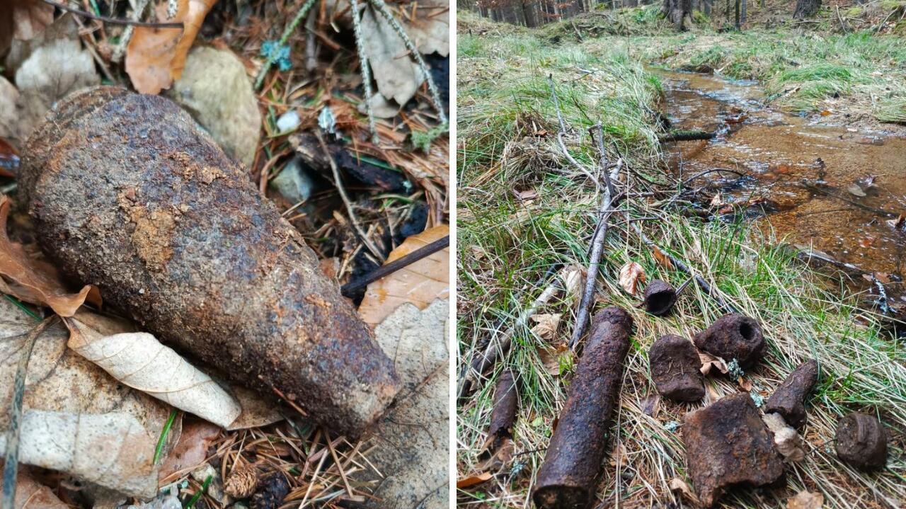 Znaleziono pocisk i zapalniki. Niewybuchem zajęli się saperzy