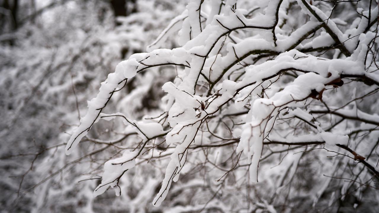 Spadnie choćby 10 cm śniegu. IMGW wydał kolejne alarmy