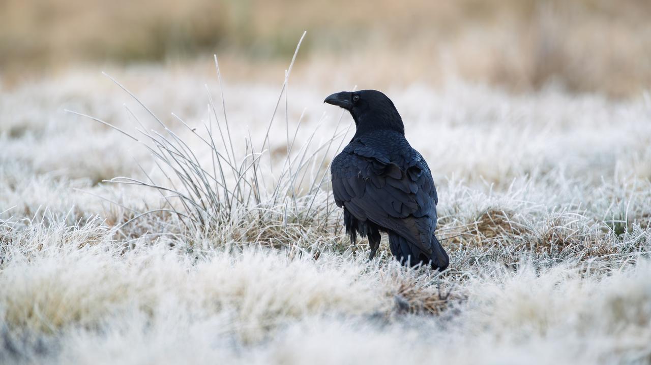 Riccarda zawładnie pogodą. Co nam przyniesie