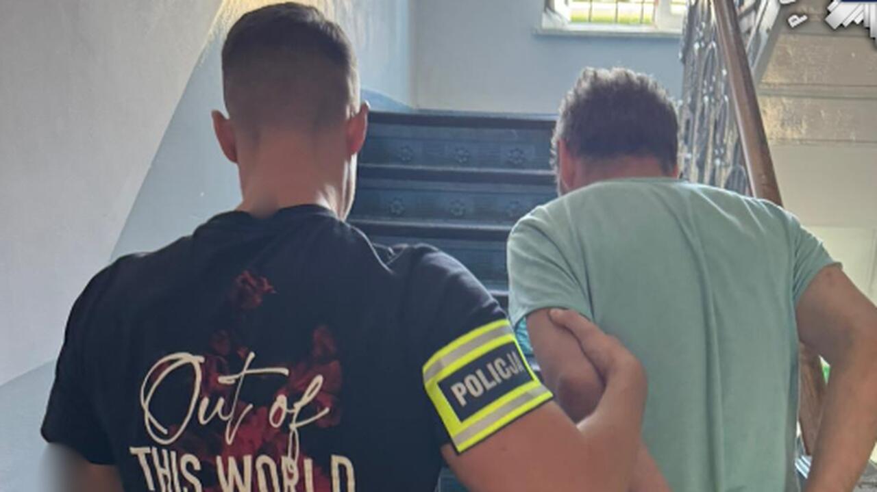 Kot uciekł, skorzystał złodziej