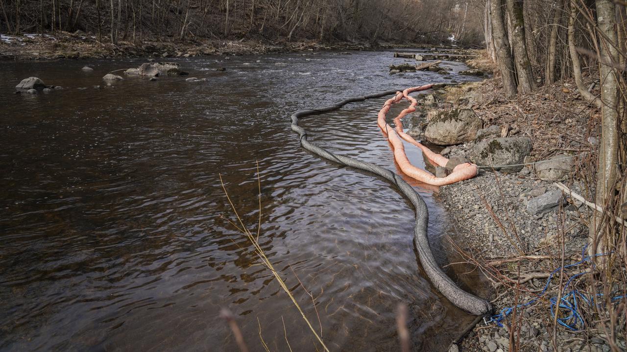 Toksyczne chemikalia wyciekły do rzeki. Zakaz kąpieli, zagrożony rezerwat przyrody