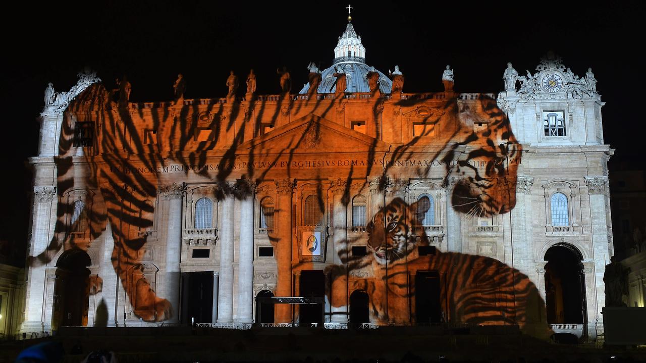 "Kościół nie był gotowy na to przesłanie". Co zostanie po pierwszym "zielonym" papieżu?