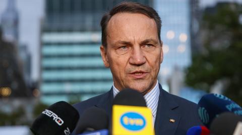 Sikorski: Polacy w USA tradycyjnie byli tak zwanymi reaganowskimi demokratami