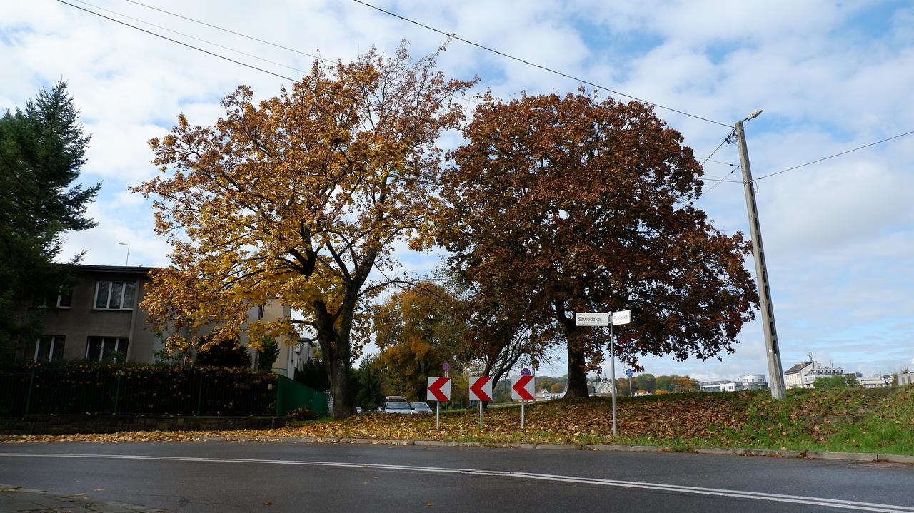 Zabytkowy pałac do remontu, obok stanie hotel. Ale drzew nie wytną