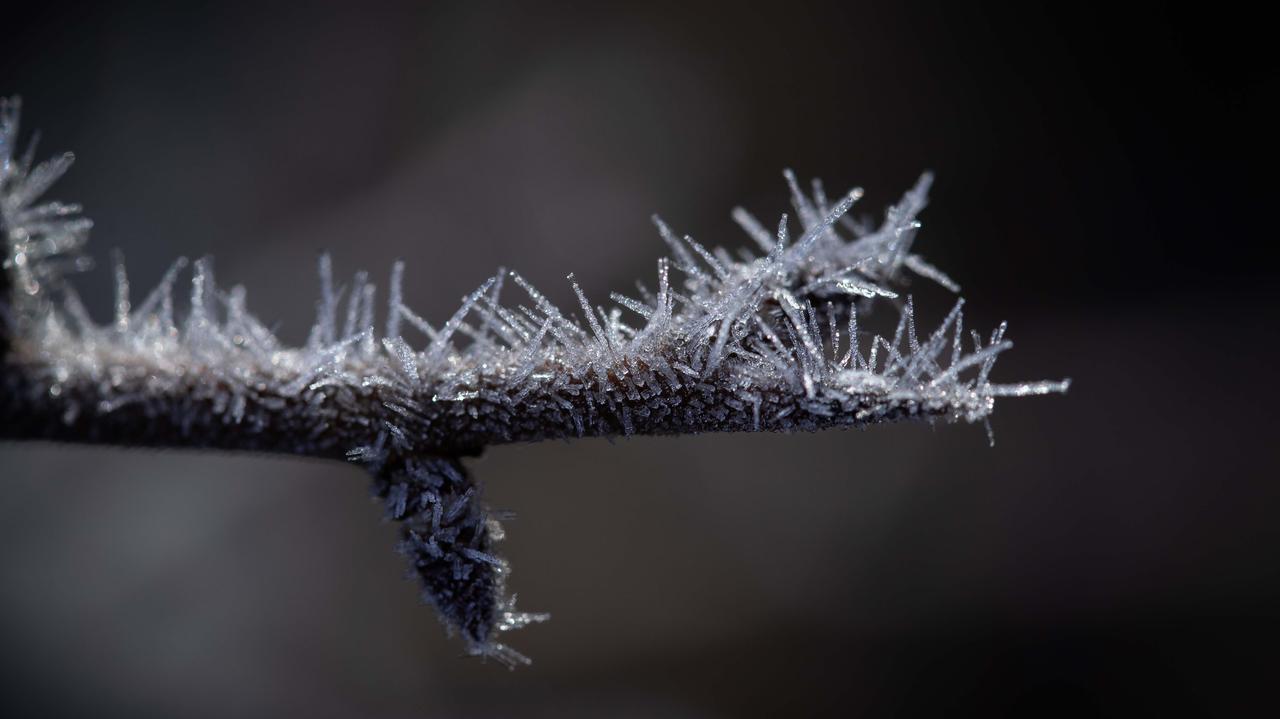Tutaj nocą i nad ranem szczypnie mróz